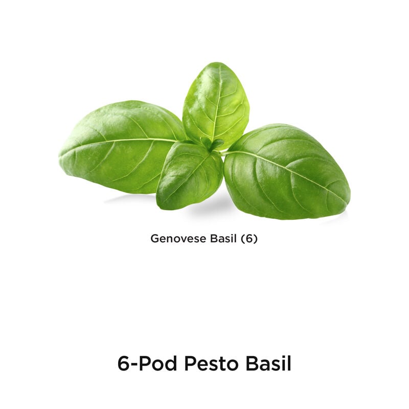 Pesto Basil Seed Pod Kit image number null